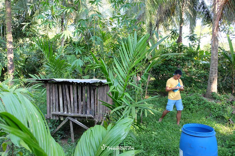 Người phụ nữ về quê trồng rau để chữa lành vết thương tâm lý do chồng gây ra - Ảnh 5.