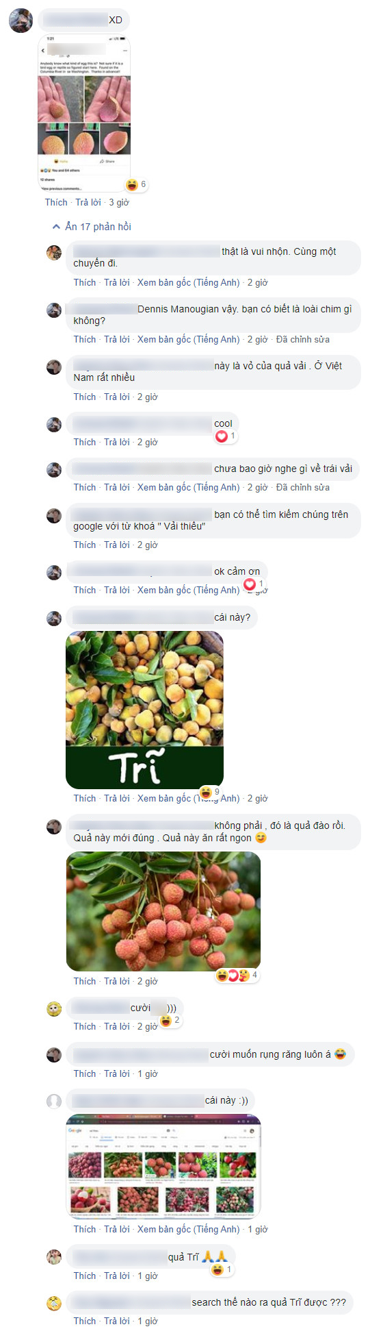 Vô tình nhặt được vỏ quả vải thiều ở bờ sông, người đàn ông nước Mỹ hốt hoảng: "Đó là vỏ trứng của loài chim hay bò sát?" - Ảnh 2. Vô tình nhặt được vỏ quả vải thiều ở bờ sông, người đàn ông nước Mỹ hốt hoảng: "Đó là vỏ trứng của loài chim hay bò sát?" - Ảnh 2.