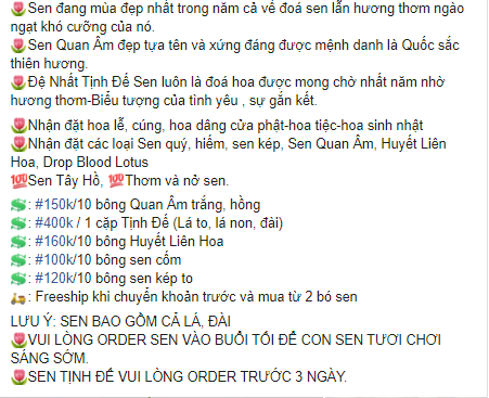 Quý hiếm những đóa sen sinh đôi mang tên &quot;Tịnh Đế&quot;, giá bán cao 200.000 đồng/bông vẫn nhiều người chờ được mua - Ảnh 4.