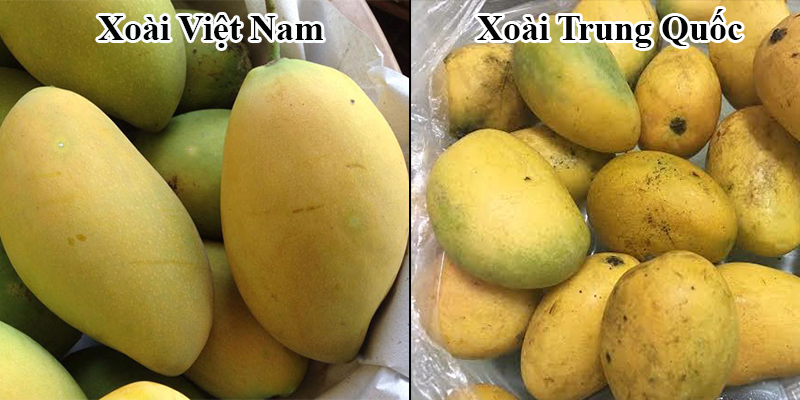 5 loại hoa quả Trung Quốc lẫn hàng Việt bày bán &quot;ngập&quot; chợ: Chỉ cần nhìn vào những điểm này phân biệt được ngay - Ảnh 11.