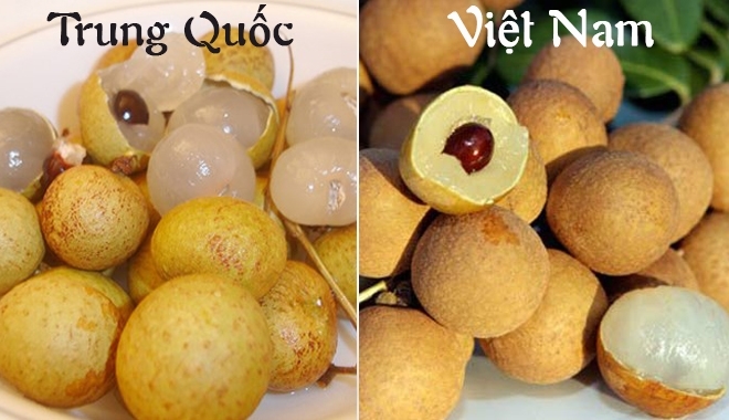 5 loại hoa quả Trung Quốc lẫn hàng Việt bày bán &quot;ngập&quot; chợ: Chỉ cần nhìn vào những điểm này phân biệt được ngay - Ảnh 10.