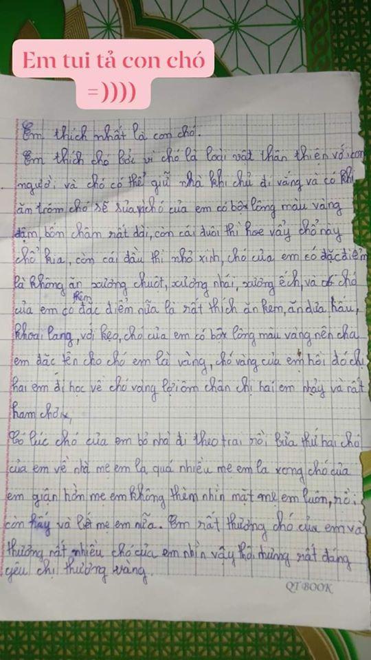 Cười ngất với bài văn tả cún cưng của cô bé tiểu học: Không ăn xương mà thích ăn kem nhưng bá đạo nhất là... dám bỏ nhà theo trai! - Ảnh 1. Cười ngất với bài văn tả cún cưng của cô bé tiểu học: Không ăn xương mà thích ăn kem nhưng bá đạo nhất là... dám bỏ nhà theo trai! - Ảnh 1.