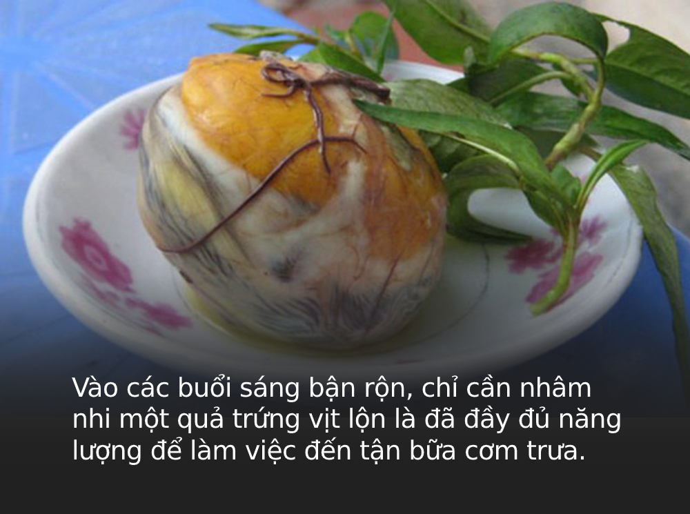 Trứng vịt lộn rất tốt nhưng nhất định phải ăn kèm theo 3 thứ này để hiệu quả tăng gấp bội, tránh gây hại cho cơ thể - Ảnh 1. Trứng vịt lộn rất tốt nhưng nhất định phải ăn kèm theo 3 thứ này để hiệu quả tăng gấp bội, tránh gây hại cho cơ thể - Ảnh 1.