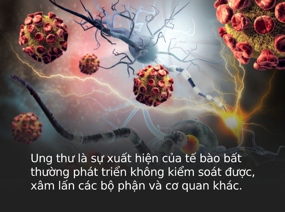 Loại ung thư mà &quot;người giàu&quot; và &quot;người nghèo&quot; dễ mắc nhất là gì? Câu trả lời sẽ khiến bạn phải thay đổi gấp - Ảnh 1.