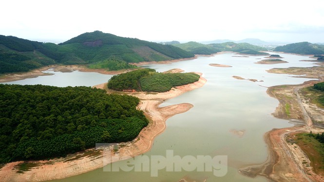 Điều chưa từng xảy ra ở hồ nước ngọt lớn nhất Quảng Ninh: Bò 'dạo chơi' giữa lòng hồ - Ảnh 1.