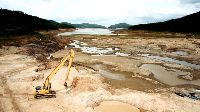 Điều chưa từng xảy ra ở hồ nước ngọt lớn nhất Quảng Ninh: Bò 'dạo chơi' giữa lòng hồ - Ảnh 7.