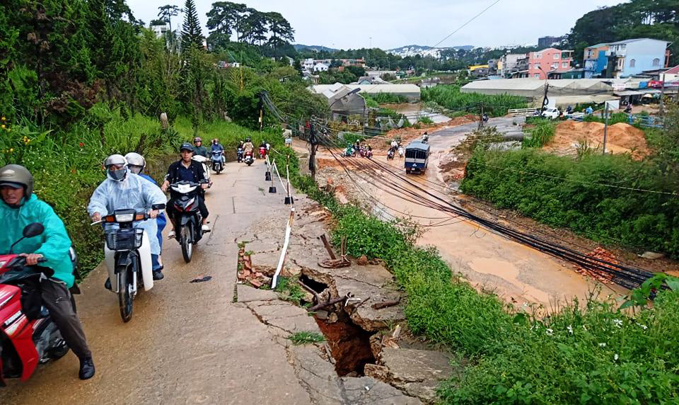 Đà Lạt mưa lớn thông cổ thụ bật gốc, sập taluy khách sạn du khách di dời khẩn cấp - Ảnh 3.