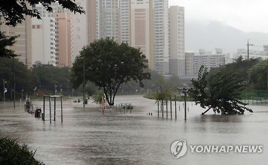 Bão và mưa lớn tàn phá nhiều nơi của Hàn Quốc - Ảnh 1.
