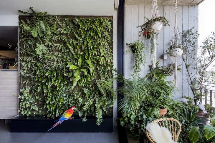 Những ý tưởng thiết kế mảng xanh cuốn hút mang lại sức sống cho ngôi nhà của bạn - Ảnh 2.
