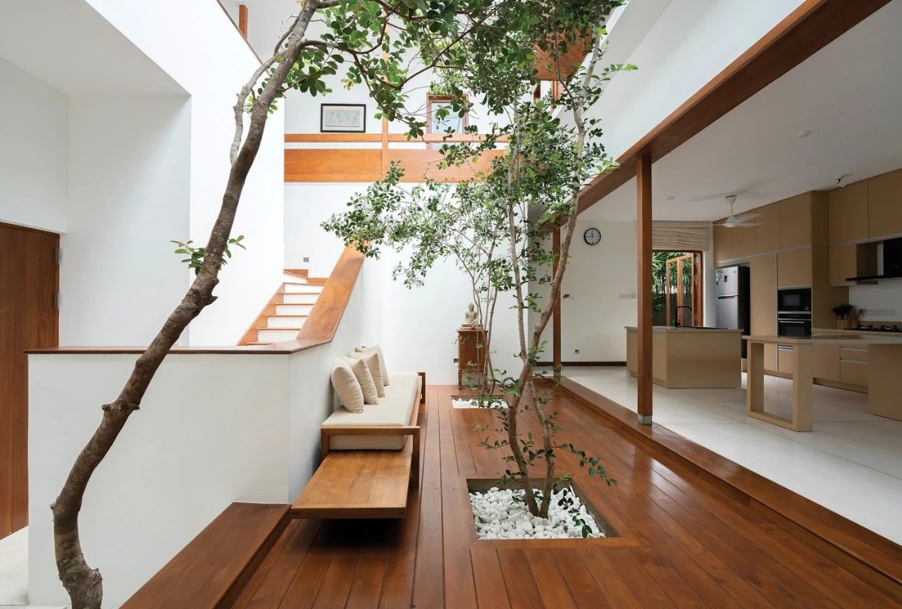Căn nhà rộng 374m² tạo ấn tượng với sự giao thoa của ánh sáng và cây xanh của cặp vợ chồng trẻ làm nghề công nghệ - Ảnh 6.