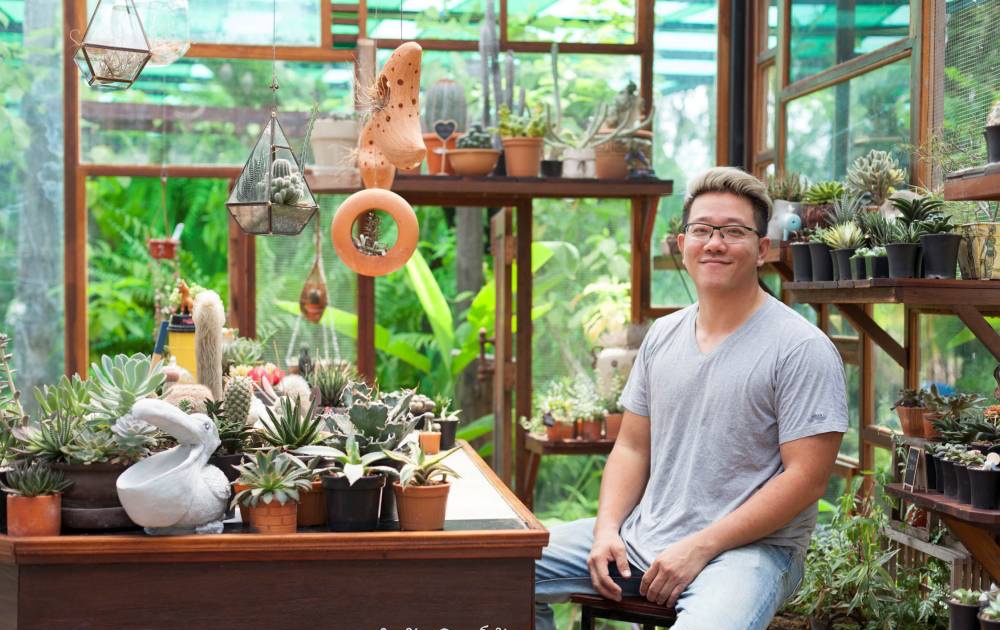 Using old wood, the young man built a beautiful garden of cacti and lotus flowers - Photo 1.