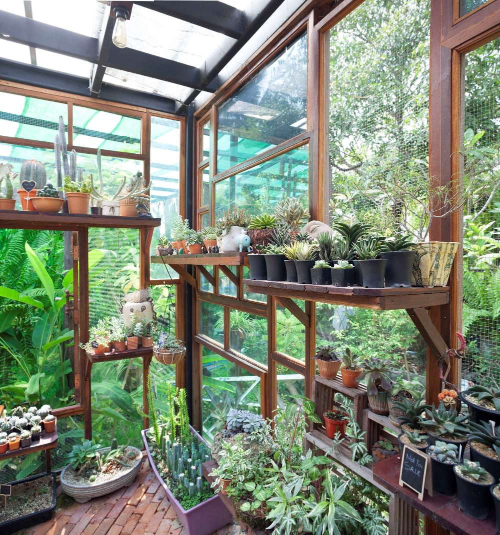 Taking advantage of old wood, the young man built a beautiful garden of cacti and lotus - Photo 7.