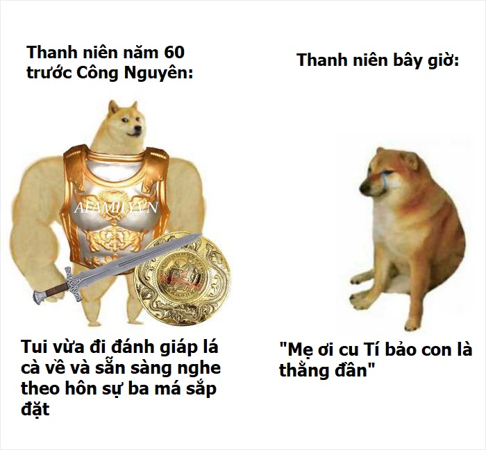 Meme chó shiba inu nổi tiếng CĐM là ai Top ảnh chó shiba bựa hài hước   Coolmate