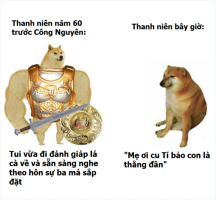 Chó shiba béo mầm: \