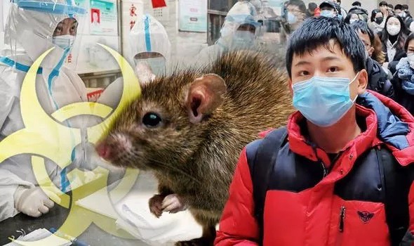 WHO đang giám sát trường hợp bệnh dịch hạch tại Trung Quốc - Ảnh 1.