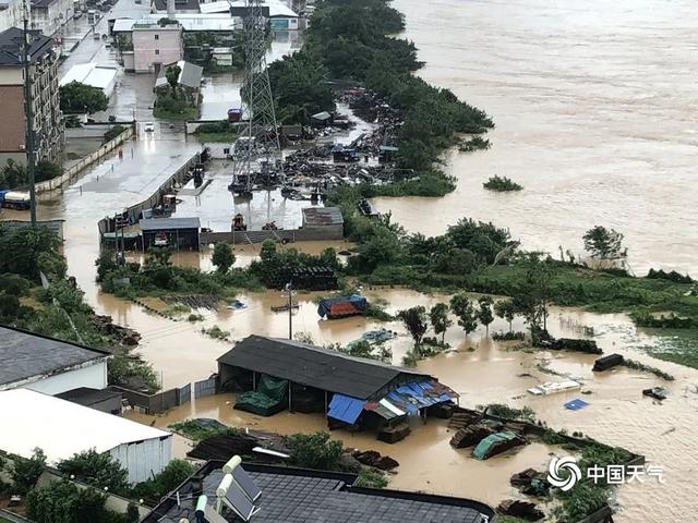 Trung Quốc: Cận cảnh mưa lũ như sóng thần tấn công khu danh lam thắng cảnh, hình ảnh chú khỉ bám thành cầu nhìn dòng nước chảy gây chú ý - Ảnh 5.