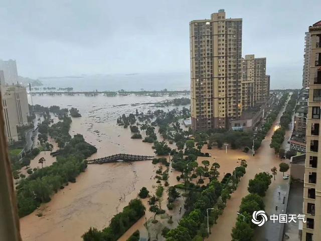 Trung Quốc: Cận cảnh mưa lũ như sóng thần tấn công khu danh lam thắng cảnh, hình ảnh chú khỉ bám thành cầu nhìn dòng nước chảy gây chú ý - Ảnh 6.