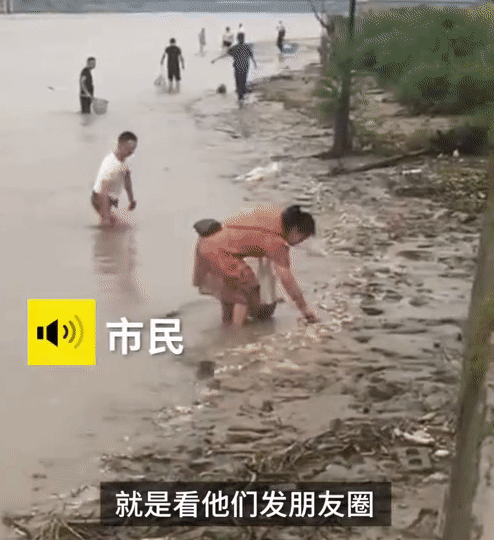 Mưa lũ Trung Quốc khiến nước sông dâng cao và đục ngầu, hàng trăm người bất chấp nguy hiểm bắt cá giữa đường, cảnh tượng lạ lùng gây chú ý MXH - Ảnh 5.
