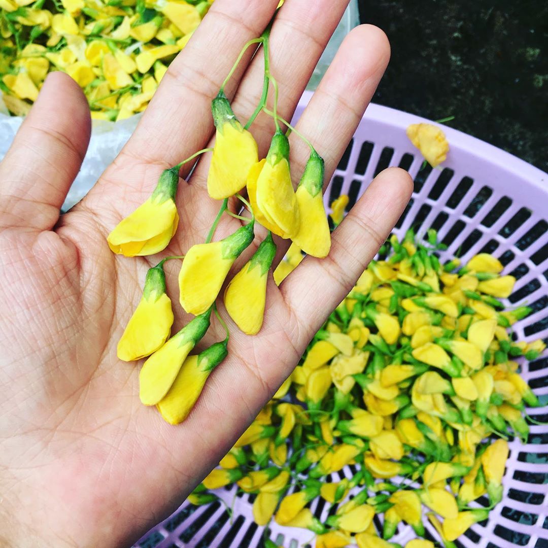 Rửa rau tưởng chừng ai cũng biết, thế mà có những điều hầu hết chúng ta còn "lơ mơ" lắm! - Ảnh 7. Rửa rau tưởng chừng ai cũng biết, thế mà có những điều hầu hết chúng ta còn "lơ mơ" lắm! - Ảnh 7.