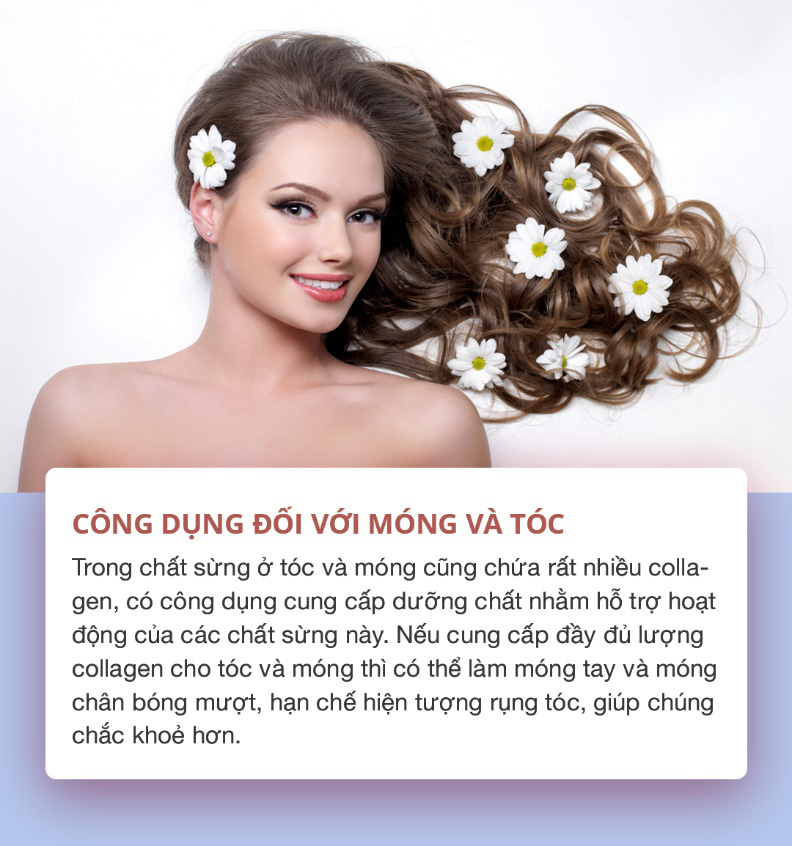 6 tác dụng thần kì cho sức khỏe và sắc đẹp khiến bạn phải cân nhắc bổ sung collagen ngay từ bây giờ - Ảnh 5.