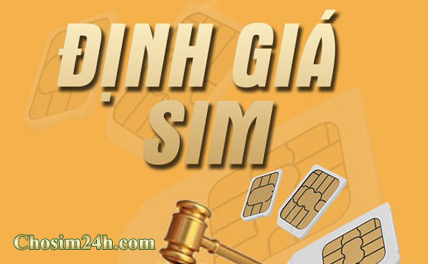 Địa chỉ định gi&aacute; sim nhanh nhất, ch&iacute;nh x&aacute;c nhất - Ảnh 1.