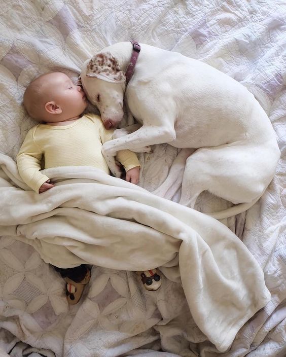 15 bức ảnh chụp trẻ em cùng thú cưng khiến những người lạnh lùng nhất cũng phải 