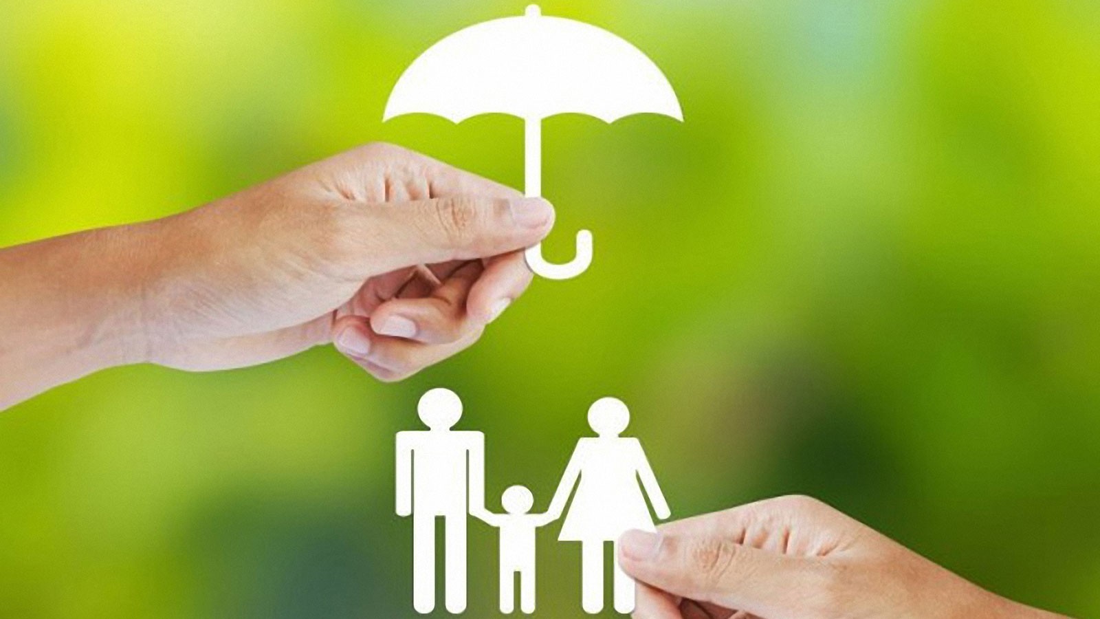 Nếu có nhu cầu mua bảo hiểm nhân thọ, bạn nên mua cho ai trong gia đình? - Ảnh 2.