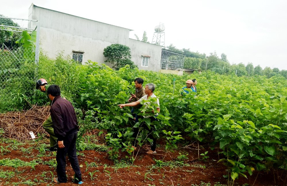 Nghi án kẻ nghiện ma túy sát hại phụ nữ bại liệt cướp tài sản - Ảnh 2.