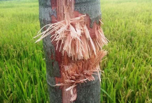 Vụ cô gái tử vong trong vụ nổ kinh hoàng từ bãi rác: Nhân chứng kể lại giây phút gây ám ảnh - Ảnh 3.