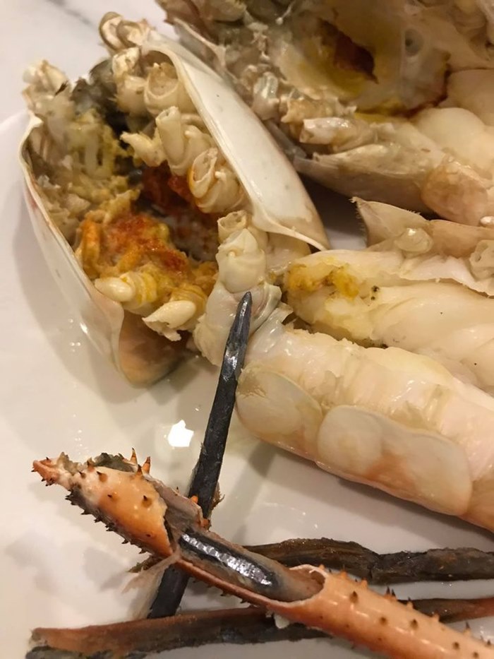 Chế biến xong 7 con tôm tươi và chuẩn bị thưởng thức, người phụ nữ bàng hoàng phát hiện những vật thể nguy hiểm trong càng tôm - Ảnh 1.