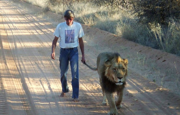 Just born, he was separated from his parents to avoid being eaten by lions and meat