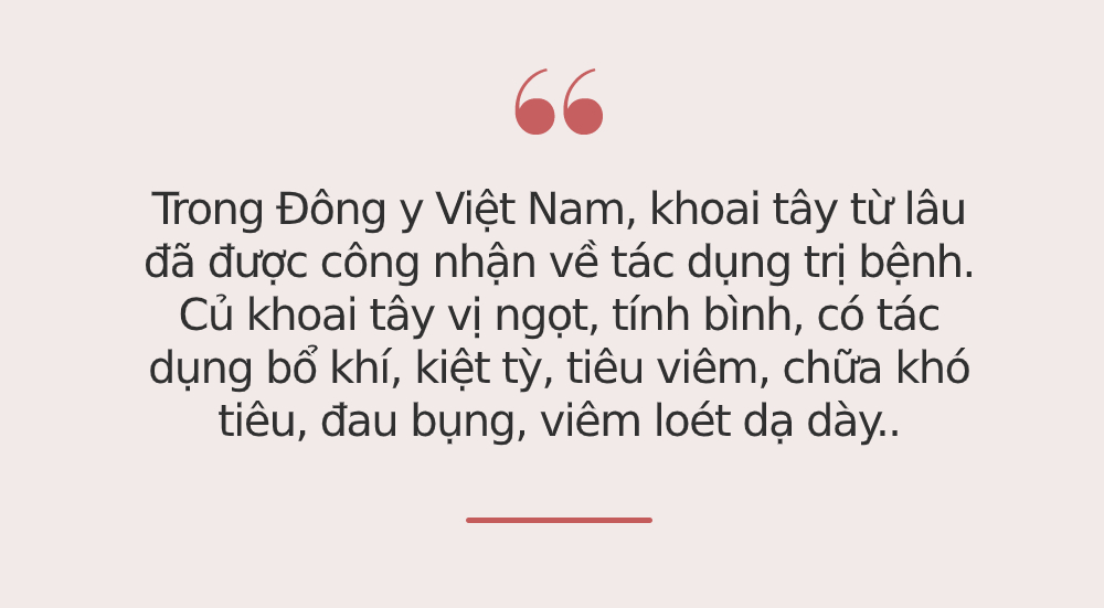 Giàu sắt gấp 3 lần thịt gà, loại củ này được người Nhật, người Mỹ tôn &quot;thuốc quý&quot;, ở Việt Nam có rất nhiều nhưng ít ai biết để tận dụng - Ảnh 2.