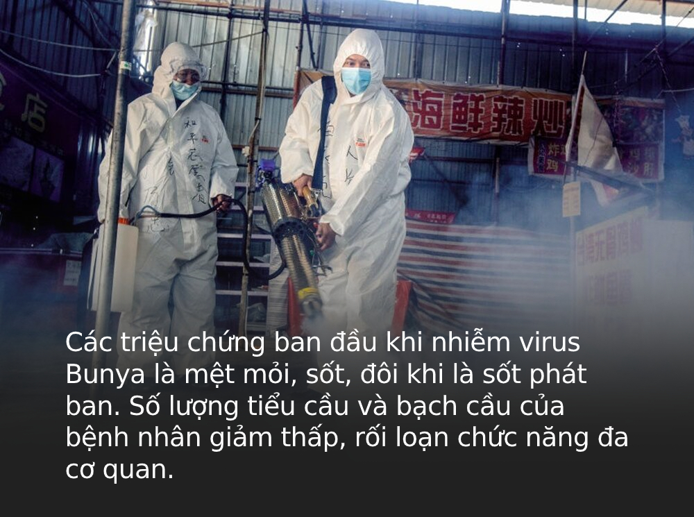 Giữa lúc ca mắc COVID-19 tăng, Trung Quốc bỗng cảnh báo thêm một loại virus CHỦNG MỚI, khiến ít nhất 7 người nước này tử vong và 60 người nhiễm bệnh - Ảnh 3.