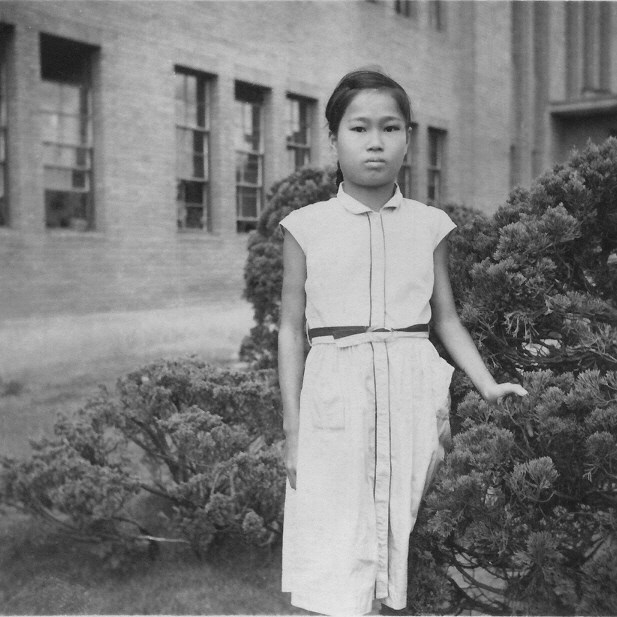 1.000 con hạc giấy và điều ước nhỏ mãi không thành hiện thực của bé gái 12 tuổi mắc bệnh bom nguyên tử Hiroshima nhưng làm thay đổi cả thế giới - Ảnh 2.