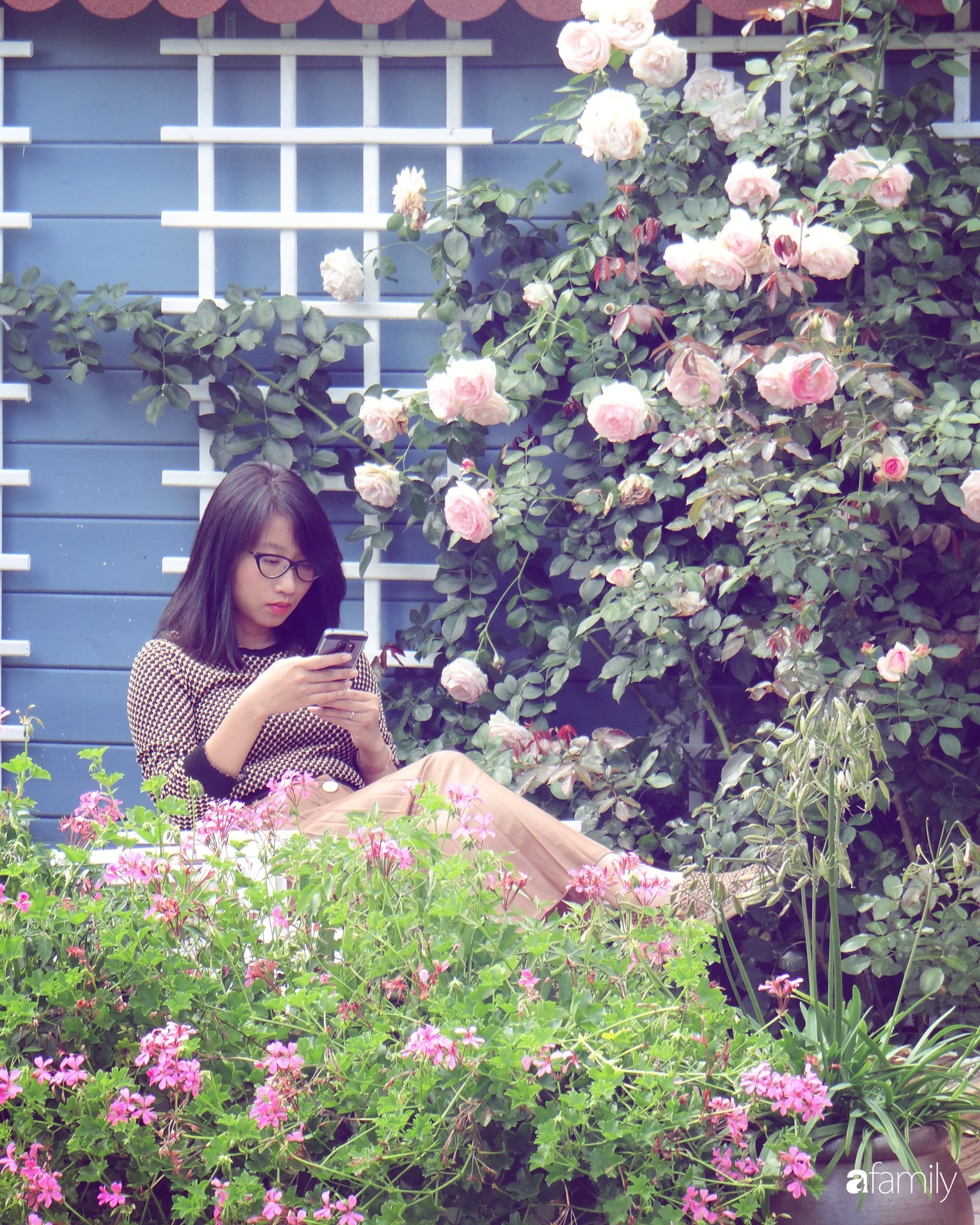 Khu vườn hoa hồng ngọt ngào, đẹp như bài thơ của người phụ nữ Việt ở Đức - Ảnh 1.