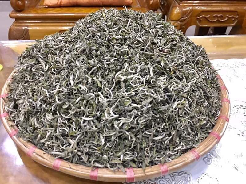 Chè Shan Tuyết ngậm sương núi, "tiền chát, hậu ngọt" giá 2 triệu đồng/kg vẫn không có để mua - Ảnh 7. Chè Shan Tuyết ngậm sương núi, "tiền chát, hậu ngọt" giá 2 triệu đồng/kg vẫn không có để mua - Ảnh 7.