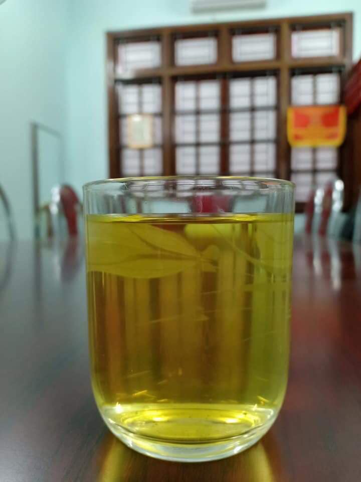 Chè Shan Tuyết ngậm sương núi, "tiền chát, hậu ngọt" giá 2 triệu đồng/kg vẫn không có để mua - Ảnh 6. Chè Shan Tuyết ngậm sương núi, "tiền chát, hậu ngọt" giá 2 triệu đồng/kg vẫn không có để mua - Ảnh 6.