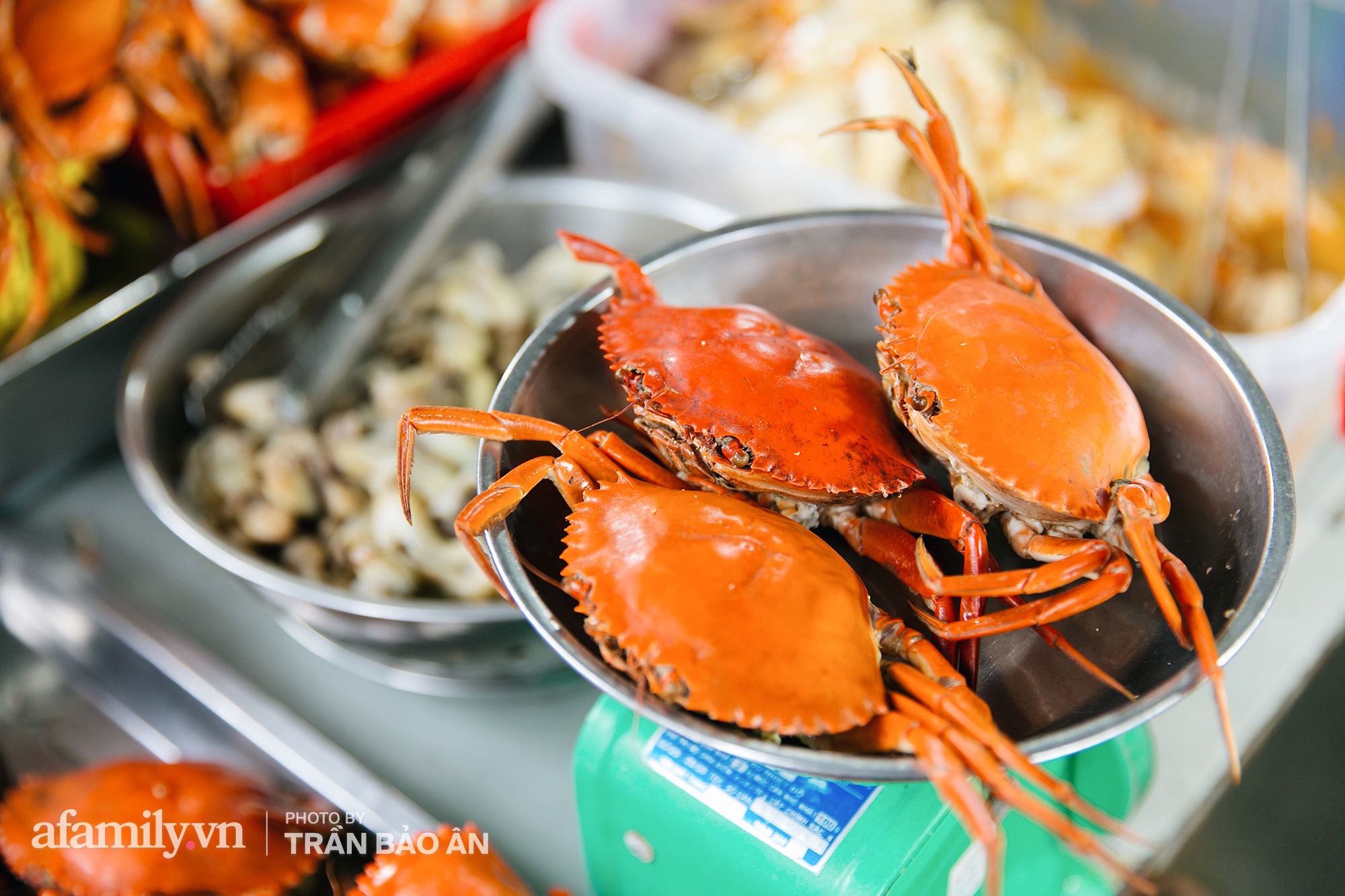 Hàng ốc núp hẻm bán 100k tận 3 con cua siêu tươi, "bao" chế biến thành đủ kiểu hot đến nỗi bày hàng chưa đến 2 tiếng đã hết sạch cua! - Ảnh 7. Hàng ốc núp hẻm bán 100k tận 3 con cua siêu tươi, "bao" chế biến thành đủ kiểu hot đến nỗi bày hàng chưa đến 2 tiếng đã hết sạch cua! - Ảnh 7.