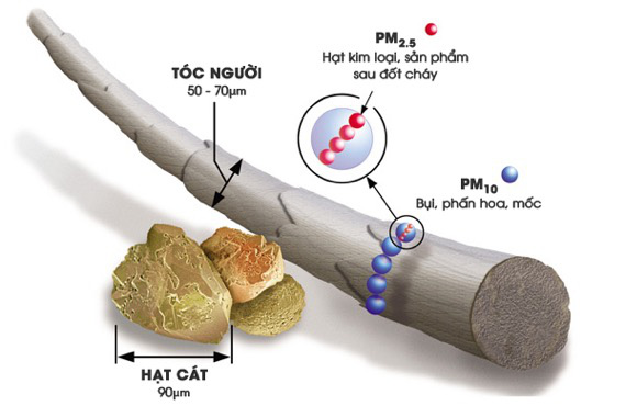 Chỉ cần một bước làm sạch đúng cách, da bạn sẽ “lên hương” - Ảnh 2. Chỉ cần một bước làm sạch đúng cách, da bạn sẽ “lên hương” - Ảnh 2.