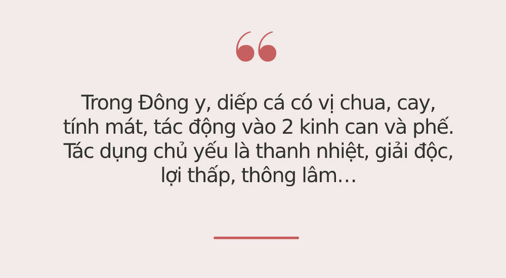 Phụ nữ nếu không muốn già nhanh, nhất định phải ăn 2 loại rau này để thúc đẩy tuần hoàn máu, điều hòa kinh nguyệt và bảo vệ tử cung  - Ảnh 4.