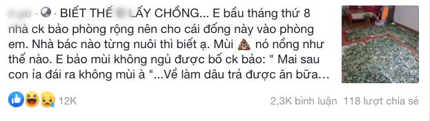 Con dâu đang mang bầu đến tháng thứ 8 nhưng được Con dâu đang mang bầu đến tháng thứ 8 nhưng được