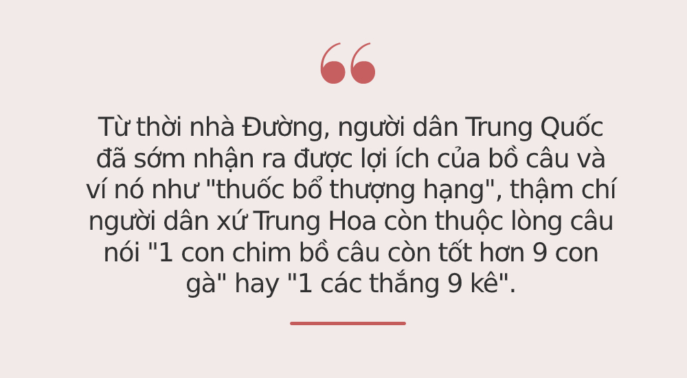 Bổ hơn thịt gà 9 LẦN, loại thịt này được Đông y ví là &quot;thuốc quý&quot;, tận dụng để bổ khí, dưỡng huyết, nuôi dưỡng gan, thận đều rất hiệu quả - Ảnh 3.