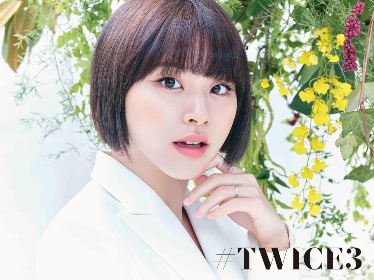 Cả nhóm TWICE đều xinh lung linh, chỉ riêng mình Chaeyoung vẫn dính lời nguyền tóc xấu - Ảnh 3.