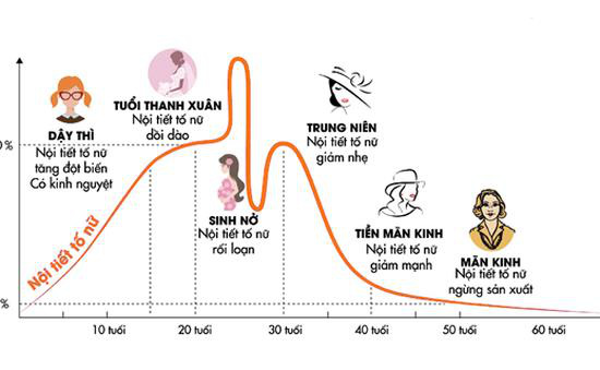 Làm sao để bổ sung estrogen đúng và đủ? - Ảnh 1. Làm sao để bổ sung estrogen đúng và đủ? - Ảnh 1.