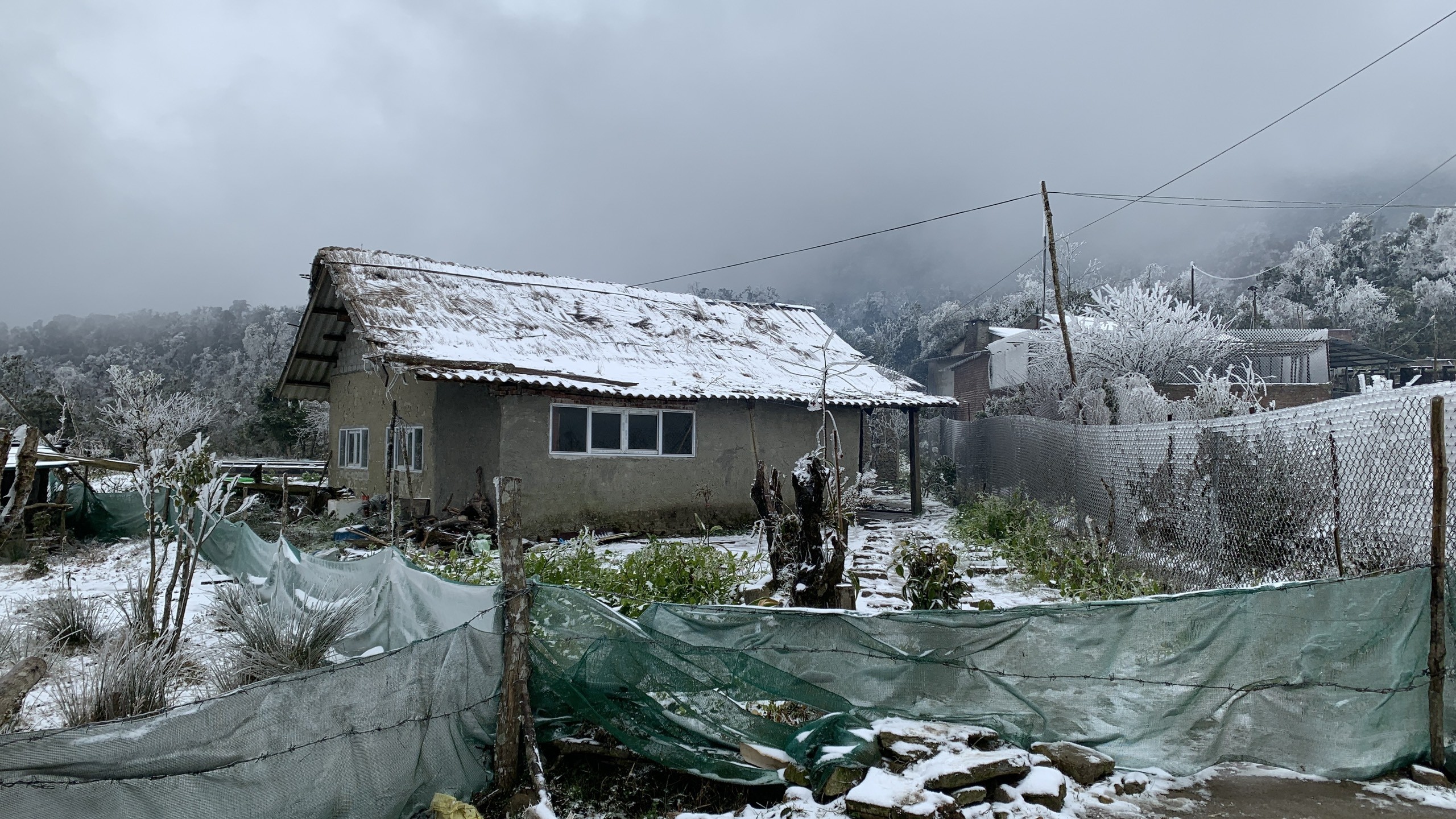 Lào Cai đổ tuyết trắng gây thiệt hại nặng nề - Ảnh 10.