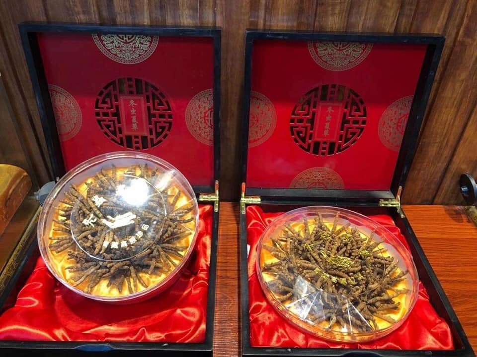 Cận Tết, nhà giàu Việt bỏ vài chục triệu đôn đáo tìm mua đông trùng hạ thảo làm quà biếu thượng hạng  - Ảnh 3.