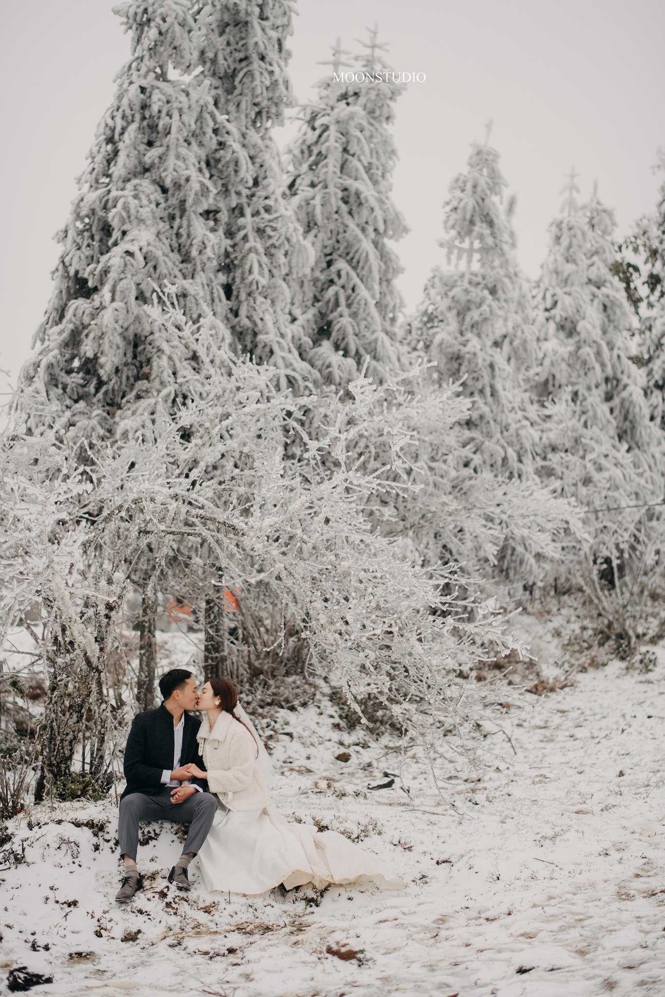 cưới trong tuyết: Hình ảnh của những cặp đôi cưới trong tuyết luôn đẹp và lãng mạn đúng không? Hãy cùng xem những bức ảnh tuyệt đẹp về cặp đôi này và cảm nhận sự ấm áp và ấn tượng mà nó mang lại.