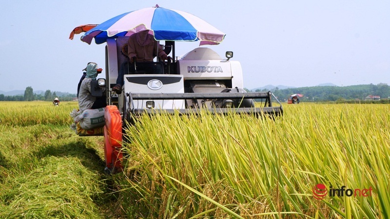 Cả làng ở Nghệ An kéo đi nước ngoài làm ăn, gửi tiền tỉ về xây biệt thự - Ảnh 4.