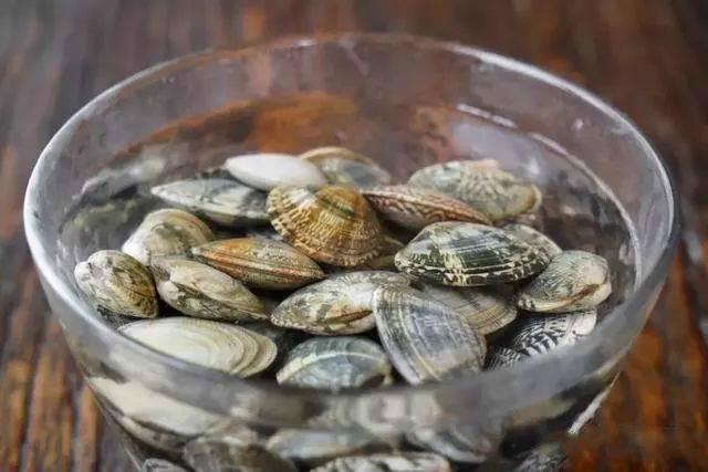 Tuyển tập bí kíp sơ chế hải sản sạch boong kin kít cho hội chị em mê nghêu sò, ốc hến: Dắt túi ngay để khỏi cần băn khoăn mỗi lần vào bếp! - Ảnh 4.