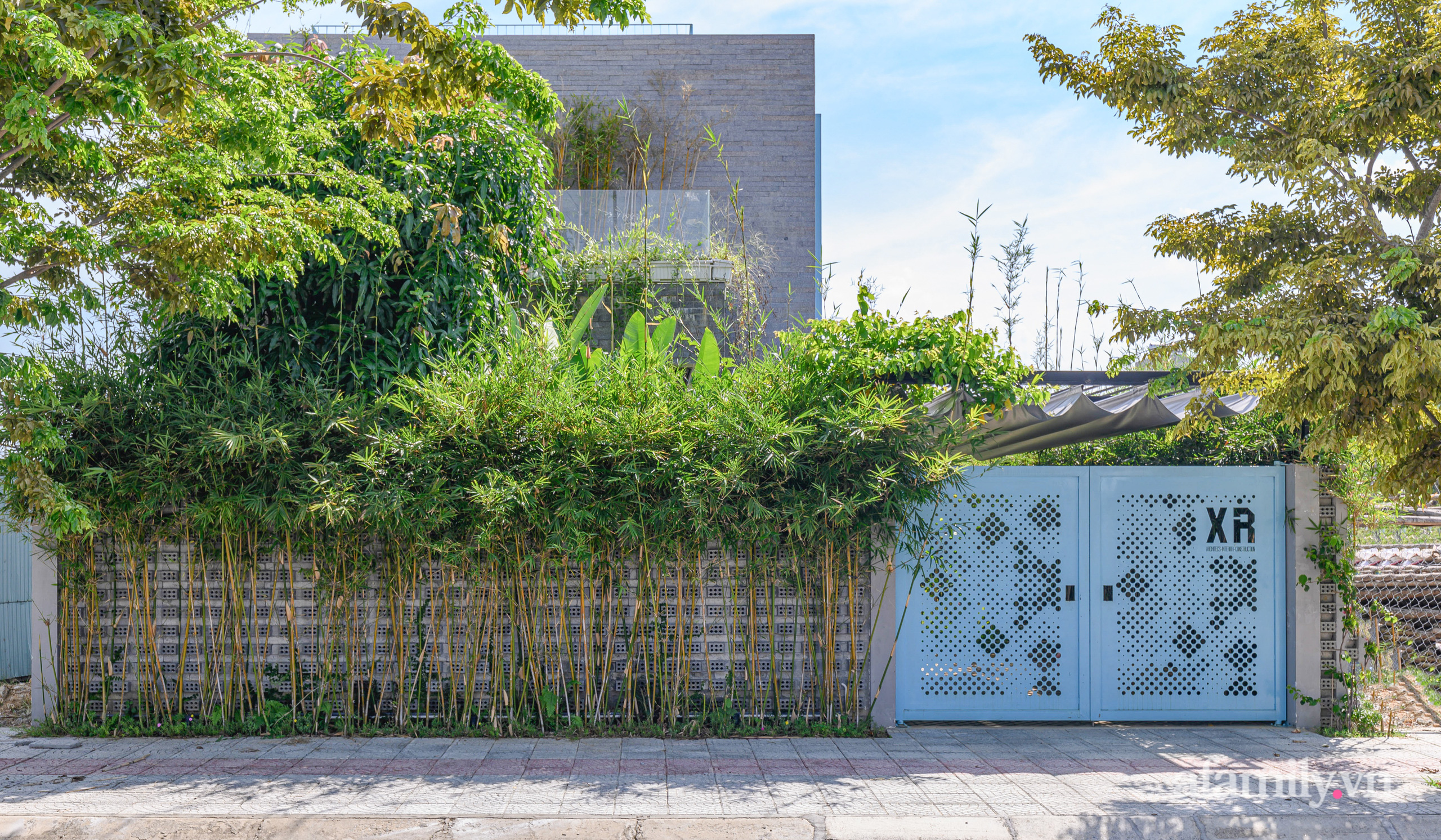 Ngôi nhà nhiều cây xanh và ánh sáng gói trọn bình yên của cặp vợ chồng kiến trúc sư ở Đà Nẵng - Ảnh 1.